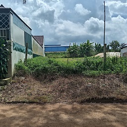 CHÍNH CHỦ BÁN ĐẤT TRỒNG CÀ PHÊ 3 – Di Linh Lâm Đồng– SỔ ĐỎ – LỘ GIỚI MỚI – TIỀM NĂNG LỚ