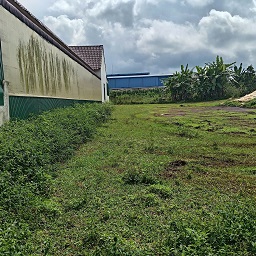 CHÍNH CHỦ BÁN ĐẤT TRỒNG CÀ PHÊ 3 – Di Linh Lâm Đồng– SỔ ĐỎ – LỘ GIỚI MỚI – TIỀM NĂNG LỚ