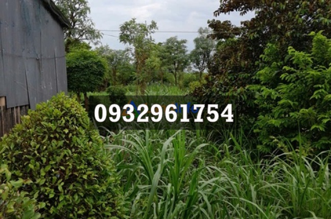 ⭐Bán GẤP lô đất tiềm năng mặt tiền Bình Nghị (Gò Công Đông, Tiền Giang) xã Tân Hoà, Đồng Tháp mới; 0932961754