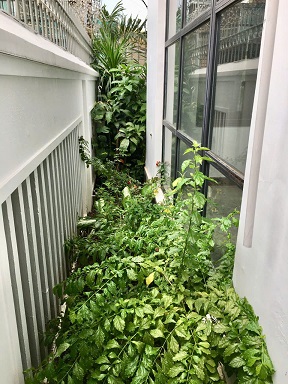 Bán Biệt thự cực chất tại 12/20 Nguyễn Cảnh Dị, P4, Q Tân Bình, 217m2, 36,8 tỷ. Hàng hot