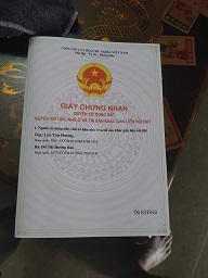 CẦN BÁN RỪNG THÔNG 12 NĂM TUỔI – XÃ ĐÌNH LẬP, LẠNG SƠN