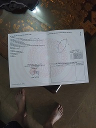 CẦN BÁN RỪNG THÔNG 12 NĂM TUỔI – XÃ ĐÌNH LẬP, LẠNG SƠN