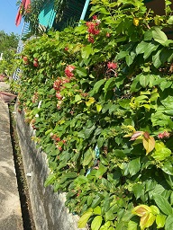 BÁN NHÀ CHÍNH CHỦ – VỊ TRÍ ĐẸP – GIÁ TỐT