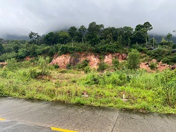 ► Cực HOT – Bán Đất Phú Quốc, giá chỉ 6 triệu/m², sổ đỏ chính chủ!