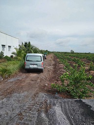 ĐẤT VƯỜN GIÁ RẺ – TÂN THÀNH, THỦ THỪA, LONG AN