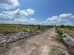 ĐẤT VƯỜN GIÁ RẺ – TÂN THÀNH, THỦ THỪA, LONG AN