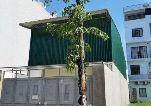 Chính chủ cho thuê nhà nguyên căn tại KĐT Nguyên Khê, Đông Anh, Hà Nội, 0985431498