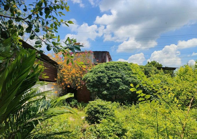 CỦ CHI - NGỘP CẦN BÁN GẤP NHÀ HOÀN CÔNG GIÁ RẺ NHẤT KHU VỰC