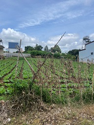 BÁN ĐẤT ĐẸP – XÃ ĐẠ RÒN, ĐƠN DƯƠNG, LÂM ĐỒNG