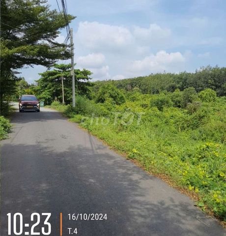 Chính chủ cần bán đất vườn có sổ đỏ tại An Điền, Bến Cát, Bình Dương.