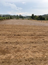 CẦN BÁN ĐẤT NÔNG NGHIỆP TẠI ĐỨC TRỌNG – LÂM ĐỒNG