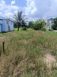 CƠ HỘI ĐẦU TƯ SINH LỜI – ĐẤT MẶT TIỀN QUỐC LỘ 62, CÂY SỐ 15