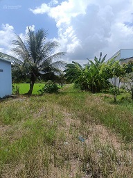 CƠ HỘI ĐẦU TƯ SINH LỜI – ĐẤT MẶT TIỀN QUỐC LỘ 62, CÂY SỐ 15