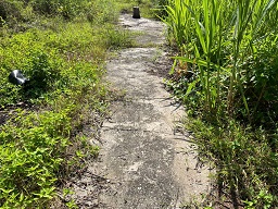 CHO THUÊ (HOẶC BÁN) ĐẤT + KHO KIÊN CỐ – MẶT NGOÀI QUỐC LỘ 1A