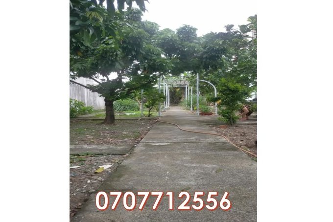 ⭐Chính chủ bán gấp đất 2 mặt tiền tại 757/58 ấp 4, Đ.Bùi Công Trừng, xã Đông Thạnh, TP.HCM, 0707712556