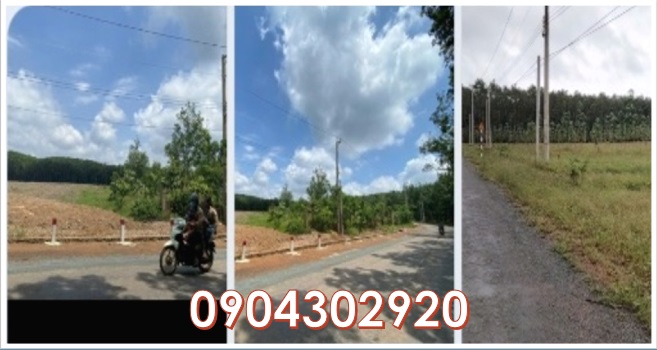 ⭐CHÍNH CHỦ cần bán nhanh lô đất ĐẸP tại xã Thuận Lợi (Đồng Phú, Bình Phước cũ), 0904302920