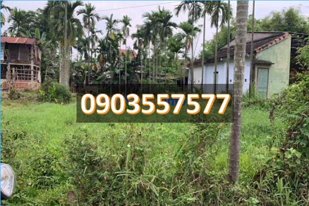 ⭐Cần bán lô đất vị trí đẹp Trà Đông, Duy Xuyên, Quảng Nam (cũ), nay là xã Nam Phước, TP.Đà Nẵng) 1,67 tỷ, 0903557577