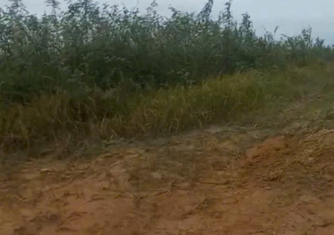 Cần bán đất 80 mẫu tại Vĩnh Cửu Đồng Nai  giá cả thương lượng