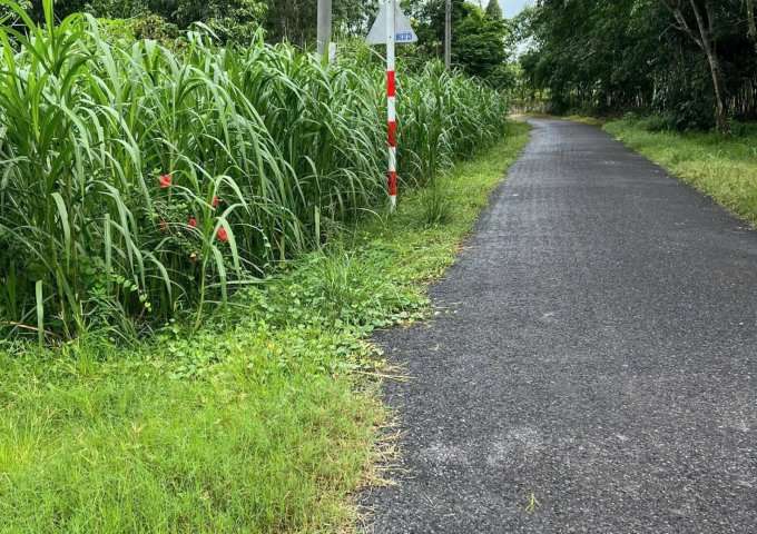 BÁN ĐẤT ĐẸP MẶT TIỀN NHỰA – LỘC CHÁNH, LỘC HƯNG, TRẢNG BÀNG, TÂY NINH