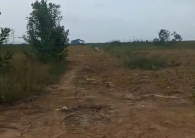 Cần bán đất 80 mẫu tại Vĩnh Cửu Đồng Nai  giá 6,4 tỷ có thương lượng