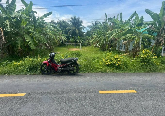 BÁN ĐẤT MẶT TIỀN ĐƯỜNG HUYỆN 4 – TRUNG TÂM XÃ NHỊ LONG PHÚ, HUYỆN CÀNG LONG, TỈNH TRÀ VINH