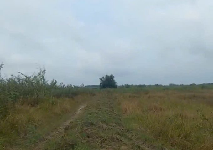 Cần bán đất 80 mẫu tại Vĩnh Cửu Đồng Nai  giá 6,4 tỷ có thương lượng nhẹ