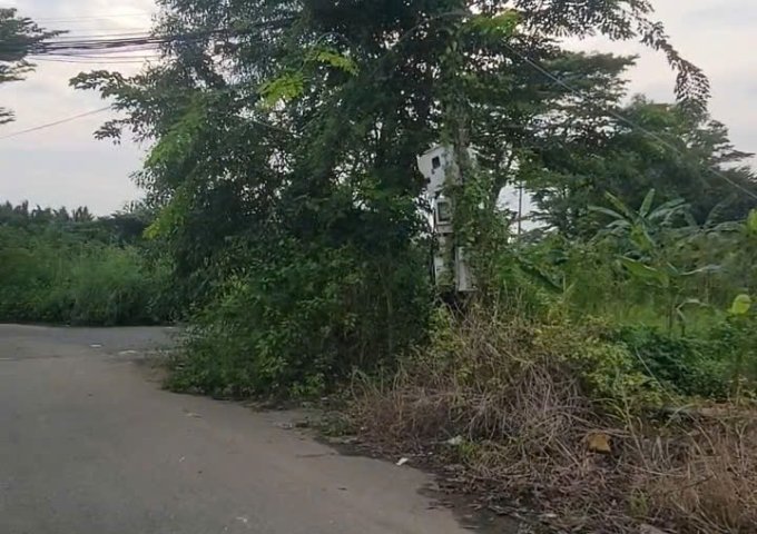 BÁN ĐẤT CHÍNH CHỦ – NGAY ÔNG THOÀN, QUẬN 9 – VỊ TRÍ TRUNG TÂM, 2 MẶT TIỀN ĐƯỜNG NHỰA