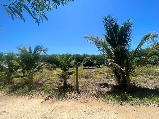 Bán đất vườn tại thôn 5, xã Diên Đồng, huyện Diên Khánh, Khánh Hòa – giá 950 triệu