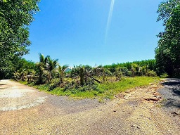 Bán đất vườn tại thôn 5, xã Diên Đồng, huyện Diên Khánh, Khánh Hòa – giá 950 triệu