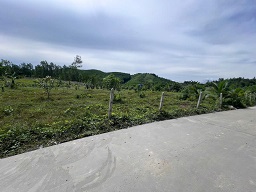 Bán đất vườn tại thôn 5, xã Diên Đồng, huyện Diên Khánh, Khánh Hòa – giá 950 triệu