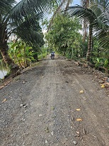 NGỘP – BÁN GẤP 3.268m² ĐẤT RUỘNG SIÊU ĐẸP, GIÁP RANH TP.HCM, 62m MẶT TIỀN KÊNH