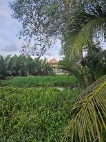 NGỘP – BÁN GẤP 3.268m² ĐẤT RUỘNG SIÊU ĐẸP, GIÁP RANH TP.HCM, 62m MẶT TIỀN KÊNH