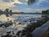 NGỘP – BÁN GẤP 3.268m² ĐẤT RUỘNG SIÊU ĐẸP, GIÁP RANH TP.HCM, 62m MẶT TIỀN KÊNH