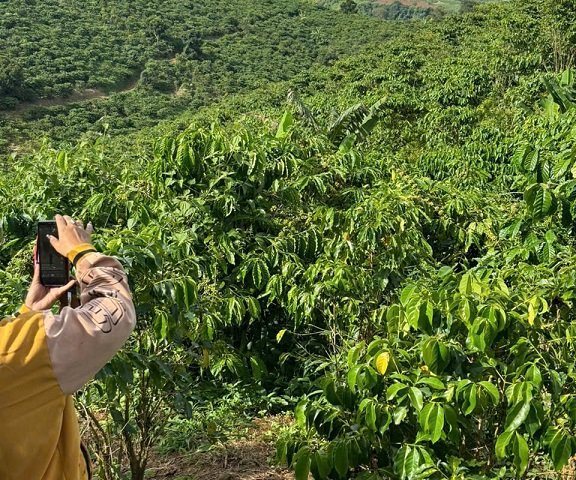 Cần bán 12 lô đất. Xã Phú Hội, Xã Ninh Gia, xã Tà Hine. xã Lạc Dương. Lâm Đồng.