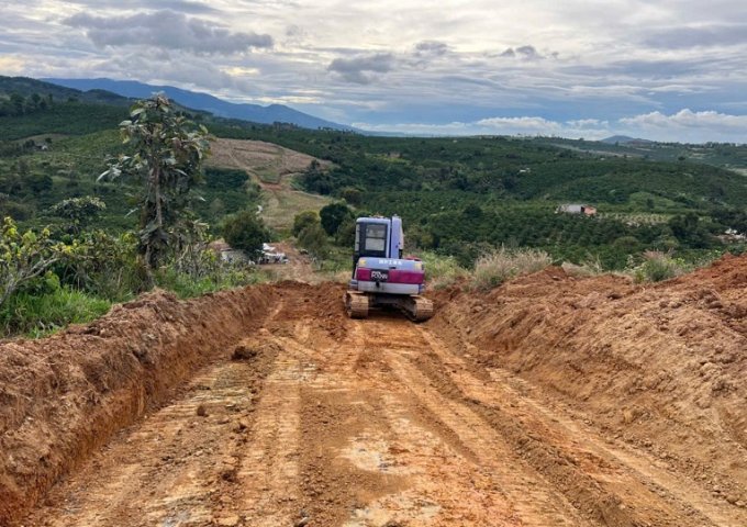 Cần bán 12 lô đất. Xã Phú Hội, Xã Ninh Gia, xã Tà Hine. xã Lạc Dương. Lâm Đồng.