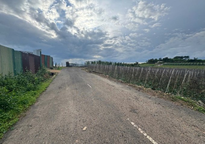 Cần bán 12 lô đất. Xã Phú Hội, Xã Ninh Gia, xã Tà Hine. xã Lạc Dương. Lâm Đồng.