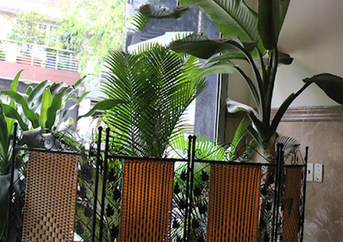 Giảm 1.5 tỷ! Khách sạn 5 tầng 27 phòng 185m2 – Hà Huy Giáp Quận 12