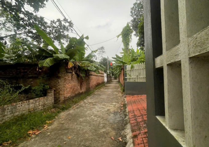 BÁN ĐẤT ĐẸP TẠI KHU TÂN MINH TÂN MINH – SÓC SƠN