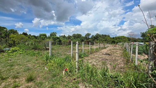 BÁN ĐẤT XÃ PHÚ THẠNH, HUYỆN NHƠN TRẠCH, TỈNH ĐỒNG NAI