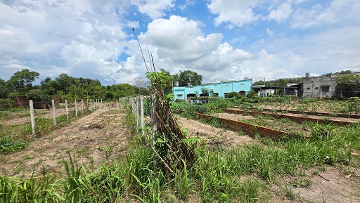 BÁN ĐẤT XÃ PHÚ THẠNH, HUYỆN NHƠN TRẠCH, TỈNH ĐỒNG NAI