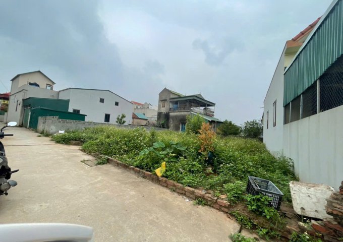 LÔ ĐẤT ĐẸP TẠI PHÚ MỸ – XÃ THƯ PHÚ – HUYỆN THƯỜNG TÍN – HÀ NỘI