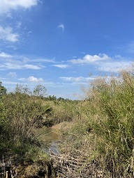 BÁN ĐẤT ĐẸP GẦN RẠCH PHƯỚC LONG – NHÀ BÈ