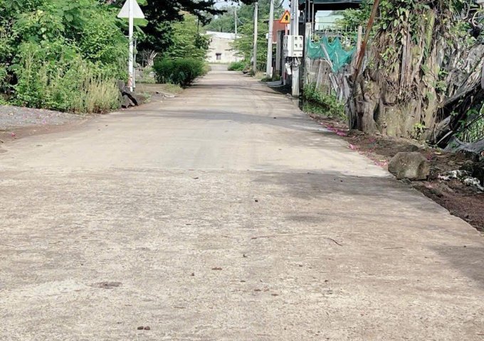 Đất Đồng Nai 2065m2, mặt tiền 37m Khổng Lồ, Giá 2 Tỷ xx, Tiềm năng Lớn