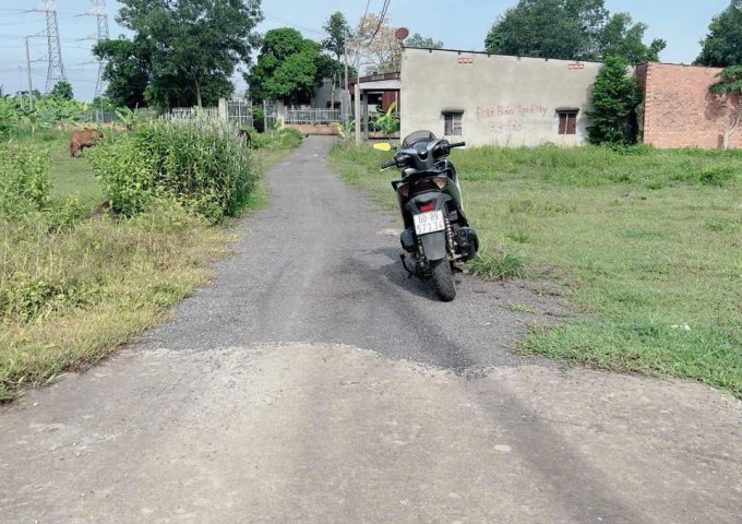 Đất Đồng Nai 2065m2, mặt tiền 37m Khổng Lồ, Giá 2 Tỷ xx, Tiềm năng Lớn