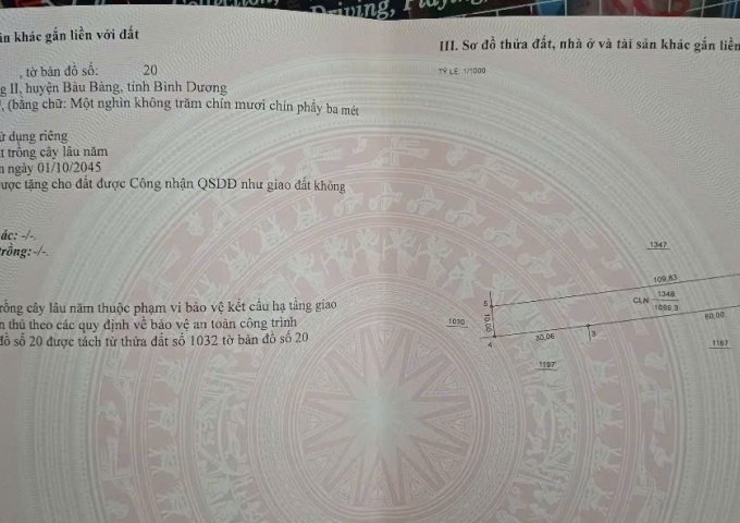 Chính chủ cần bán lô đất mặt tiền đường DH614, Bàu Bàng – vị trí đẹp, tiềm năng cao.