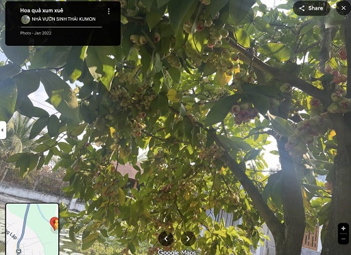 Bán nhà nghỉ dưỡng – Mặt tiền kênh Đức Lập, Xã Nhuận Đức, Củ Chi – TP. HCM