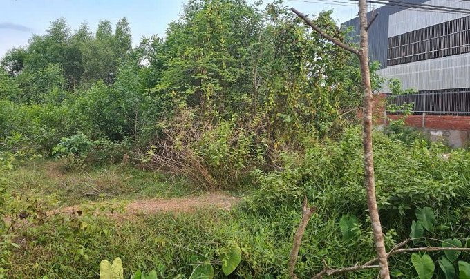 BÁN ĐẤT MẶT TIỀN TỈNH LỘ 823 – VỊ TRÍ ĐẸP, GẦN TRƯỜNG HỌC Và TRUNG TÂM HÀNH CHÍNH