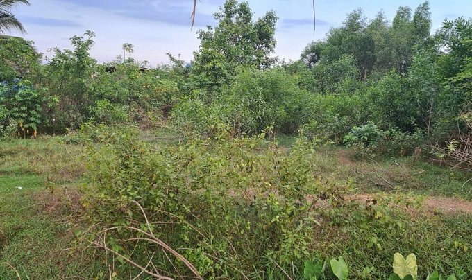 BÁN ĐẤT MẶT TIỀN TỈNH LỘ 823 – VỊ TRÍ ĐẸP, GẦN TRƯỜNG HỌC Và TRUNG TÂM HÀNH CHÍNH