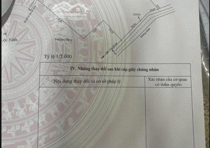 CHỦ KẸT TIỀN – BÁN GẤP 2,2HA ĐẤT CAO SU THU NHẬP TRÊN 30tr/THÁNG– 100M MẶT TIỀN ĐƯỜNG NHỰA 6M