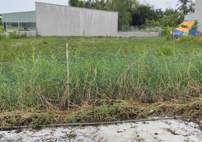 Cần tiền bán gấp lô đất 2 mặt tiền tại xã Phước Vân, Cần Đước, Long An – Giá tốt cho nhà đầu tư